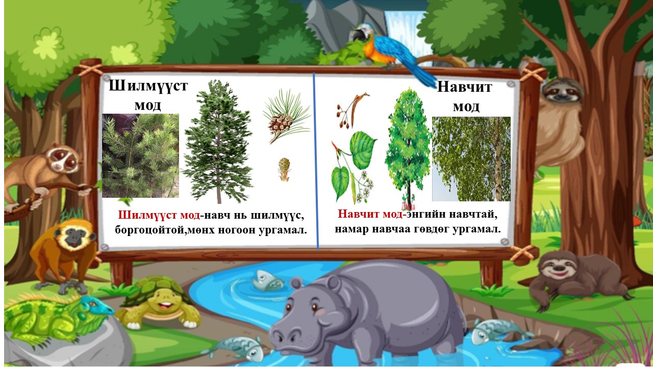 Мэдлээ | Цахим контент
